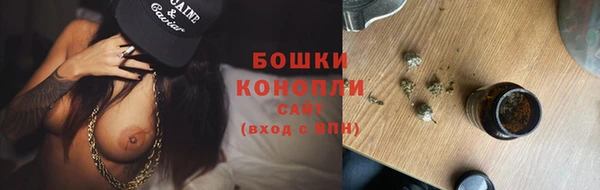 дурь Богданович