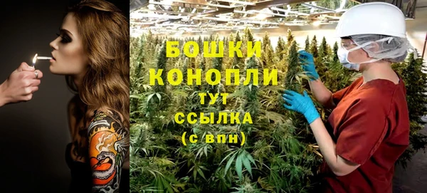 ГАЛЛЮЦИНОГЕННЫЕ ГРИБЫ Богородск