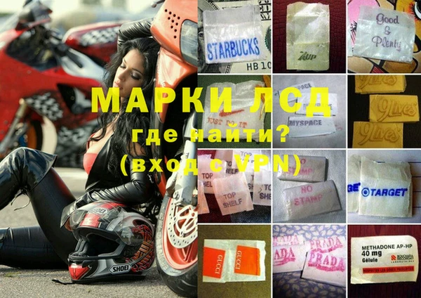ПСИЛОЦИБИНОВЫЕ ГРИБЫ Богородицк