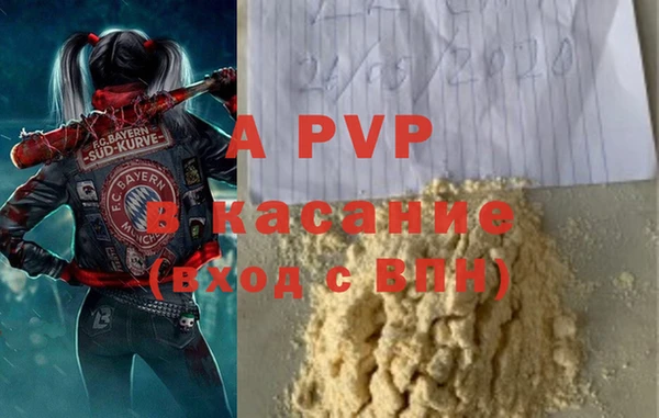 дурь Богданович