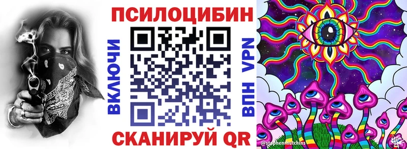 дарк нет наркотические препараты  Ясногорск  Галлюциногенные грибы MAGIC MUSHROOMS 